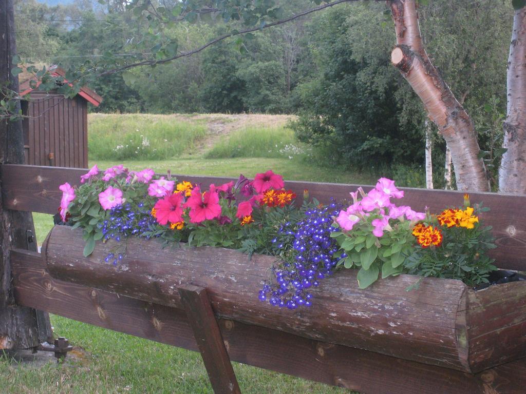 Smegarden Camping Oppdal Habitación foto